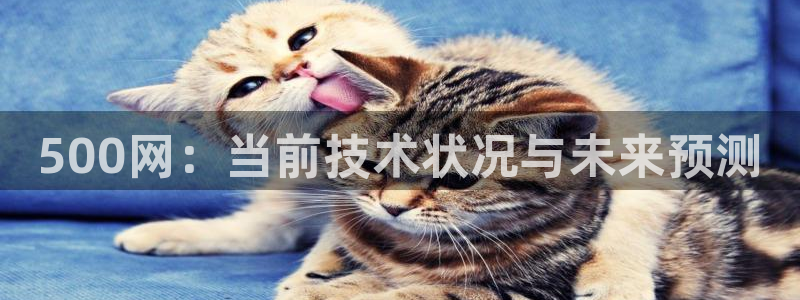多多28app：500网：当前技术状况与未来预测