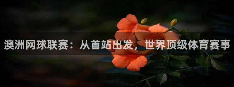多多28平台下载：澳洲网球联赛：从首站出发，世界顶级体育赛事