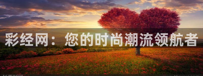 多多28pg官方安装下载：彩经网：您的时尚潮流领航者